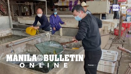 Wuhan's wet markets struggle after virus lockdown