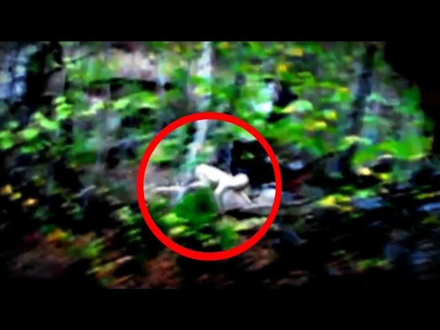 Фото рейков. Рейк существует в реальной жизни