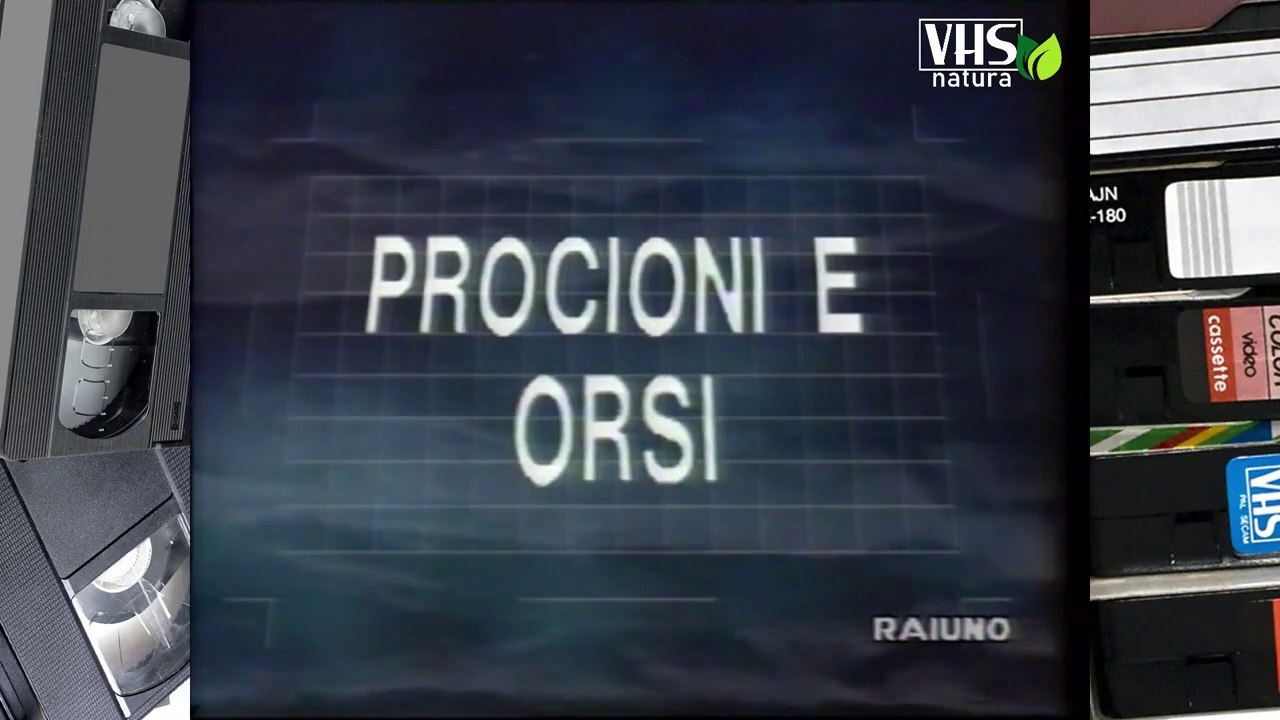 Il mondo di Quark - serie CARNIVORI - PROCIONI E ORSI