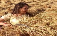 Hema Malini kick-starts poll campaign by harvesting crop in Mathura