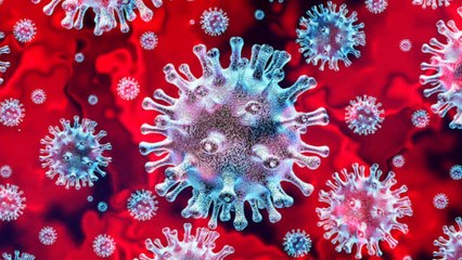 All sports Big Event postponed Due to Corona virus