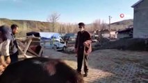 Erzurumlu çiftçi 'Biz bize yeteriz' kampanyasına ineğini bağışladı