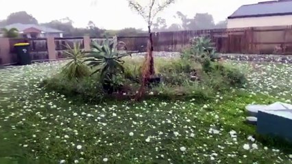 Golfball sized Hailstones in Yeppoon, Australia ! 19 April 2020