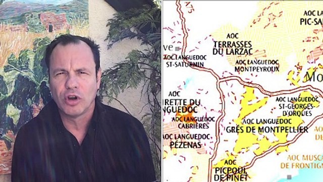 VIN des TERRASSES du LARZAC ROUGE 2014 CHATEAU CAPITELLE de SALLES cuvée Hommage