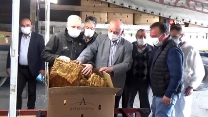 Bafra'da tütün alımları başladı