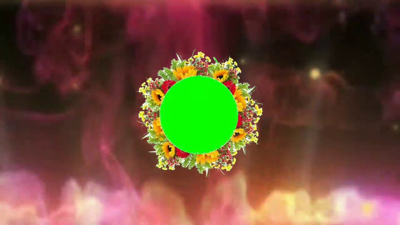 Love Green Screen Video Effect VFX/Wedding Green Screen Video Effect/Green Screen Video Effect