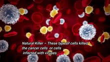 Левкоцитите - (10 interesting facts about the leukocytes)
