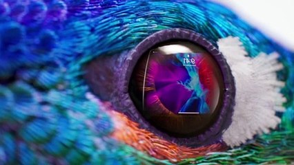 Publicité Apple  Float pour le Magic Keyboard