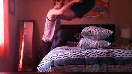 Georgie the Cat Falls Off the Pillows during Playtime