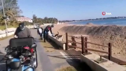 Sokağa çıkma kısıtlamasında özel izinle kedilerini besledi