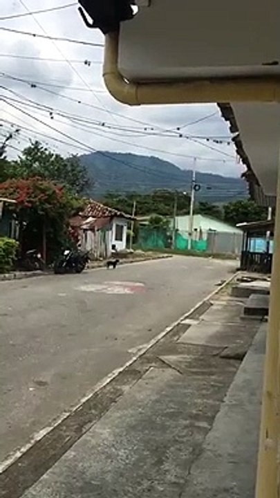 Cuarentena en el Cauca