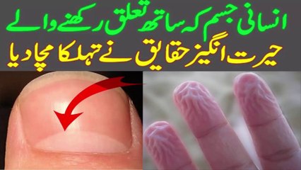 Download Video: Unknown Facts About Human Body | Interesting Facts About Human Body in Urdu_hindi | facts about human body,human body facts,human body,unknown facts about human body,interesting facts about human body,unknown facts,amazing facts about human body