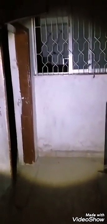 بيت زهدي والكلاب الملعونه الذي اكلت جزء من جسم ام زهدي  Dogs that ate part of the owners body☠️