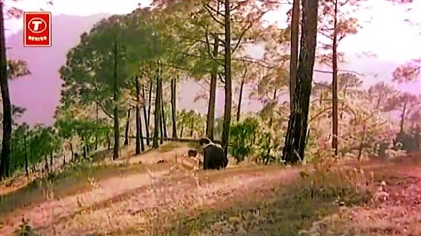 Tujhse Naraz Nahin Zindagi Hairan Hoon { Anup Ghoshal } Masoom "Gulzar`s"