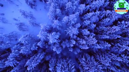 Nature beautiful sunset scene video