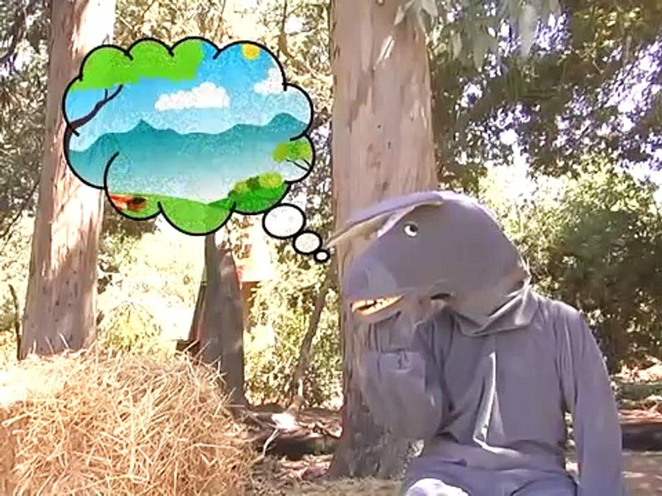 El Burro Anís - Cantando Aprendo a Hablar