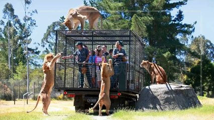 petsmao.nownews-copy1-20200421-12:33