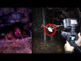 5 Scary Forest Encounters YouTubers Caught on Tape