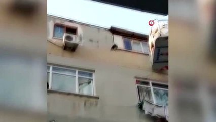 İtfaiye ekipleri 5. katın penceresinden düşen kediyi atlama çadırıyla kurtardı