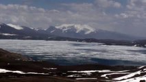 Doğu Anadolu'nun saklı cenneti Balık Gölü'nde buzlar eriyor