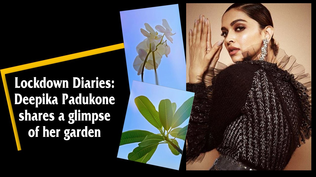 Lockdown Diaries: Deepika Padukone shares a glimpse of her garden