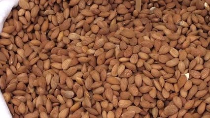 Yılın ilk çeyreğinde 2,87 milyon dolarlık kayısı çekirdeği ihracatı