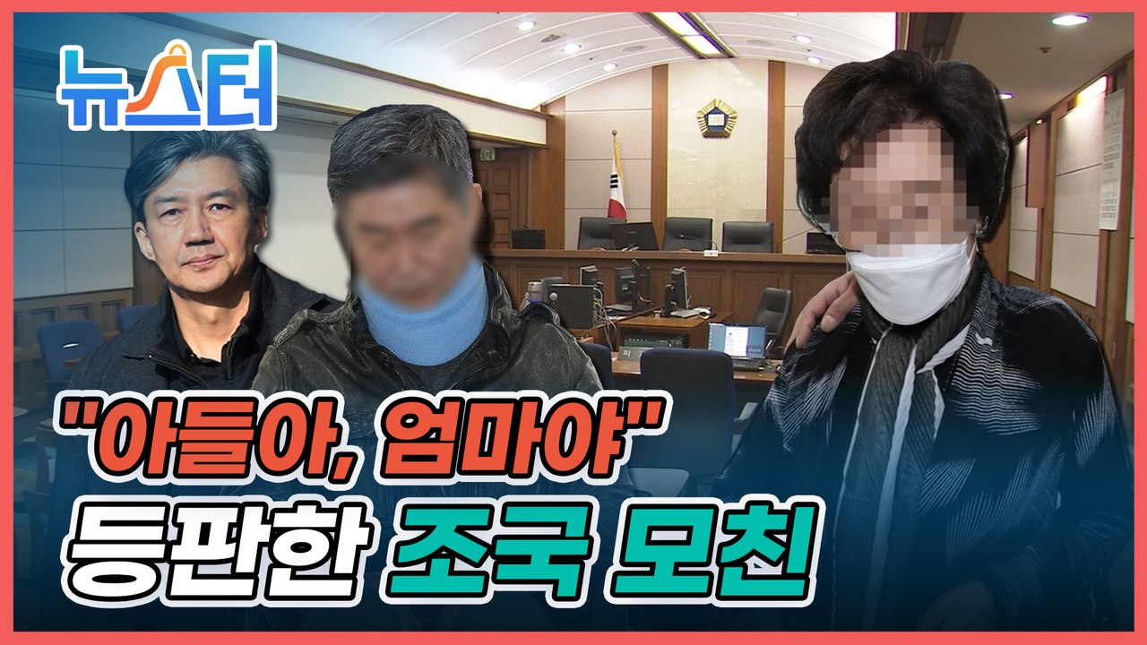 배 아파 낳은 아들은 내가 지킨다! 법정에 등장한 조국 모친의 아들 구하기? [뉴스터]