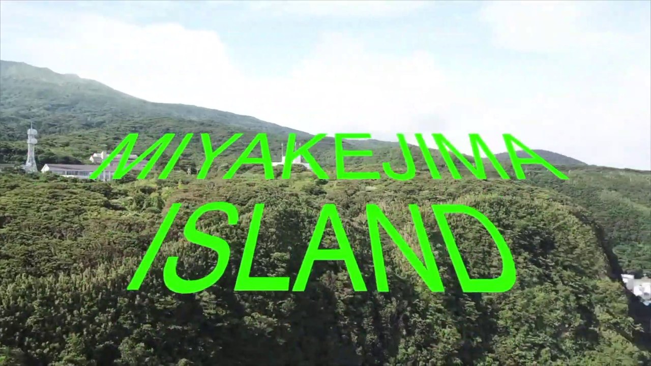 ✫✫✫MIYAKEJIMA ISLAND CAMPING AND DOLPHIN SWIMMING: [island camping & wild dolphin swimming 2019]✫