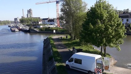 Antoing Darse sauvetage poissons 3