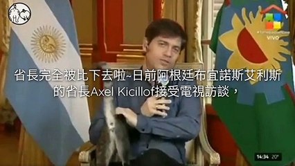 petsmao.nownews-copy1-20200421-17:40