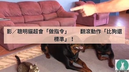 adgeek_teepr_curation_desktop_bottom-copy4-20200421-17:41