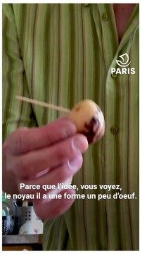 Paris chez vous : les conseils de Franck, jardinier à la Ville de Paris, pour faire germer un noyau d'avocat et des pépins de citron