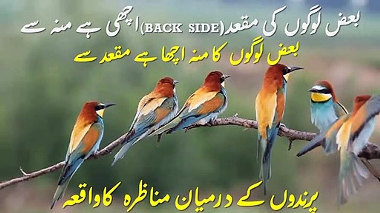 Hazrat sulman ky dor ma Munarza Between Birds Ka Waqia Islamic Bayan In Urdu