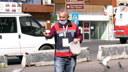 Başkent'te sokak hayvanları unutulmuyor