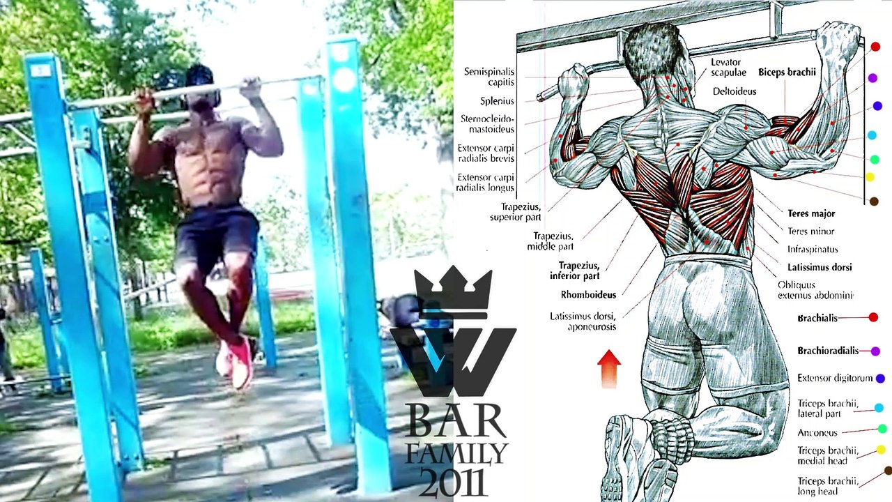 Pull Ups WORKOUT | Bodyweight Strength Training