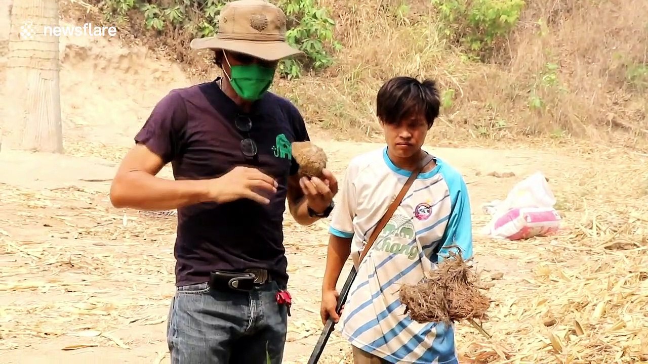 Thai people in elephant camp lives on collecting and selling dung as garden fertiliser during COVID-19 pandemic