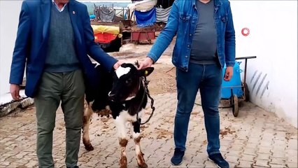 Mahalle muhtarı ‘Biz Bize Yeteriz Türkiyem” dedi, buzağısını bağışladı