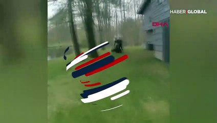 Polislerin yaban domuzu mücadelesi böyle görüntülendi