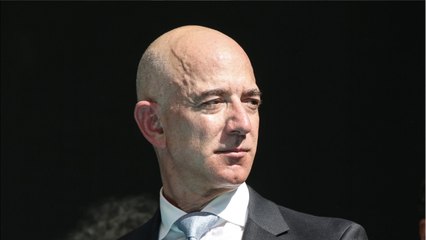 Amazon Invests $10 Million To Conserve Forests