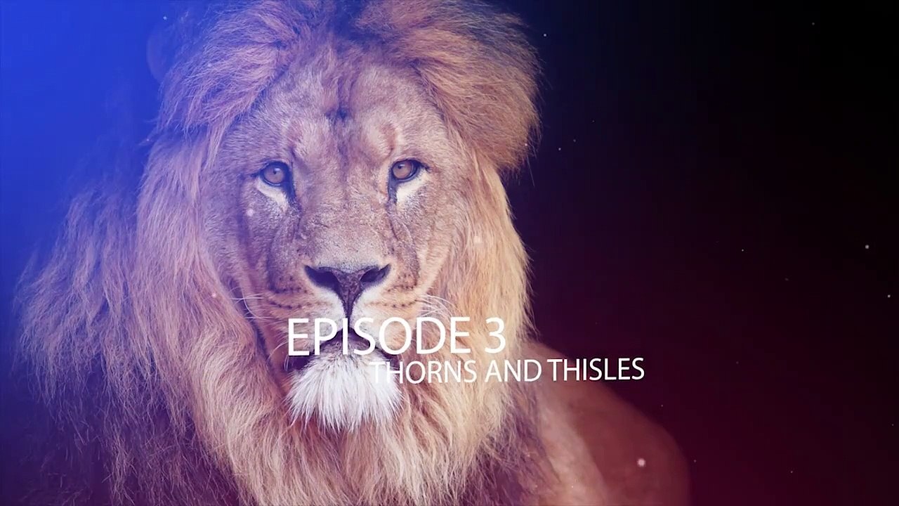 GOD'S DECREES EPISODE 3 - THISLES AND THORNS