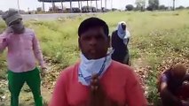 शामली के मजदूर मध्यप्रदेश में फंसे, सोशल मीडिया पर वीडियो वायरल कर लगाई मदद की गुहार