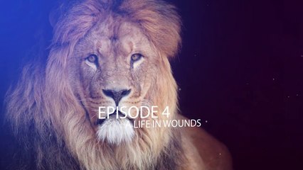 GOD'S DECREES EPISODE 4 - A LIFE IN WOUNDS