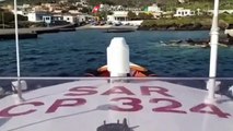 Lampedusa-Linosa - Guardia Costiera trasporta tamponi Covid a Palermo (21.04.20)