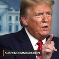 Trump says will 'temporarily suspend' immigration due to coronavirus