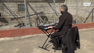 動物園の動物たちに美しいピアノ演奏を聴かせる園長