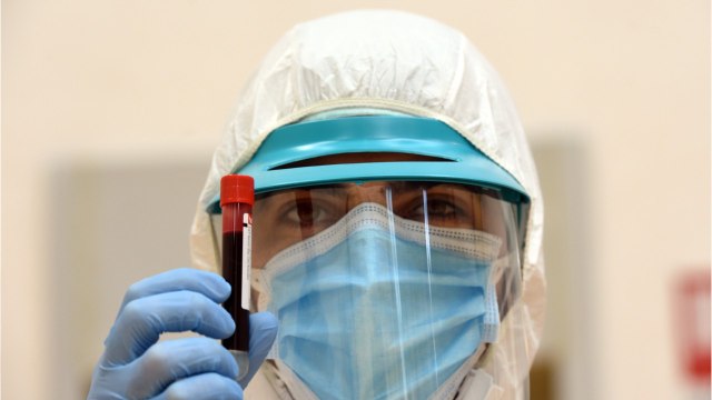 WHO Says Coronavirus Likely Originated From Animals