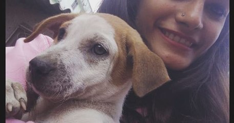 Hope for Paws, Lilac l’histoire du chien qui s’est fait tirer dessus