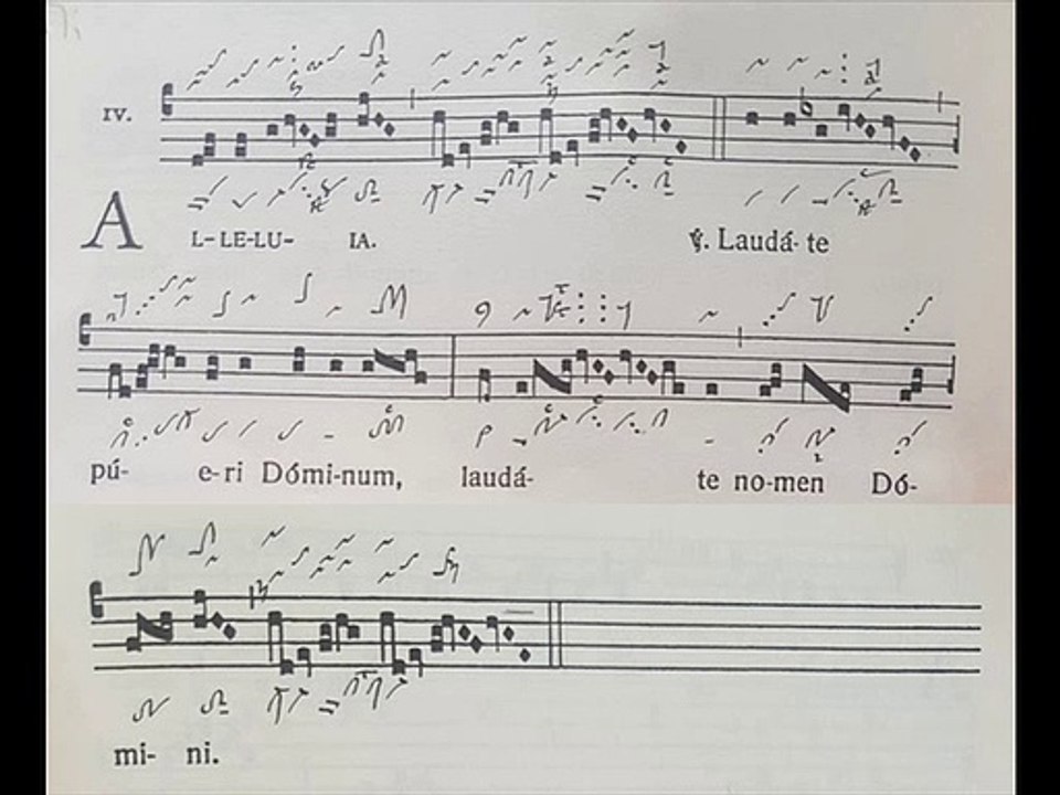 Alleluia Laudate pueri, Octavam Paschae VII