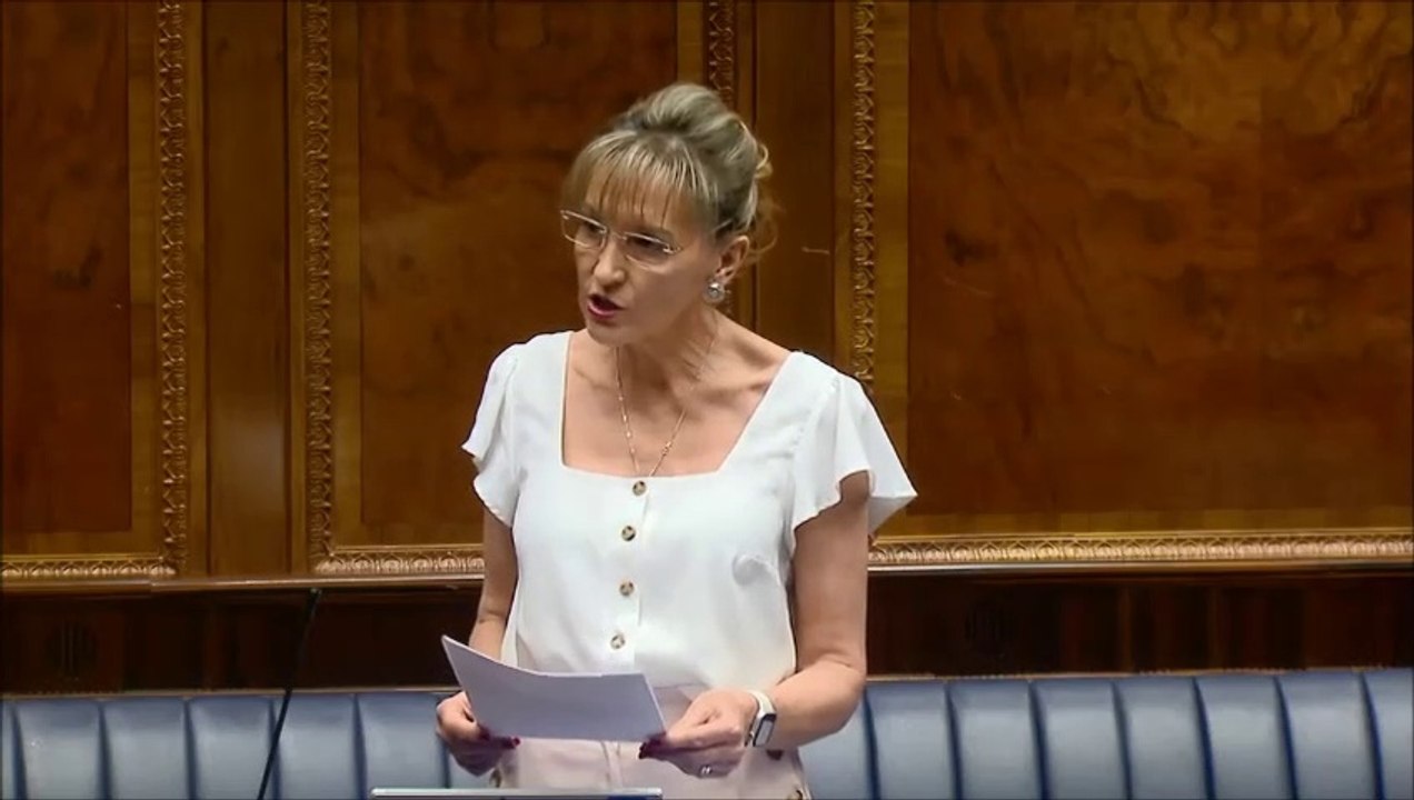 Martina Anderson raises case of critically-ill Derry father in calling for ECMO purchase
