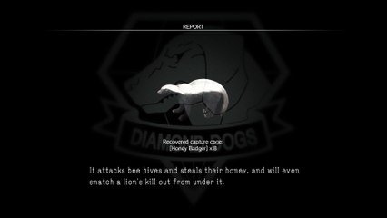 Metal Gear Solid V - Honey Badger